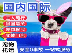 新郑空运地址国际宠物托运 【国